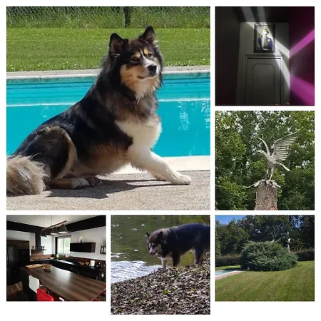 Le Repaire De L'aigle * Rosieres (Tarn)