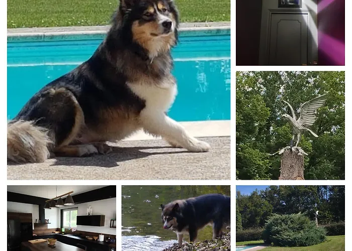 Le Repaire De L'aigle * Rosieres (Tarn)